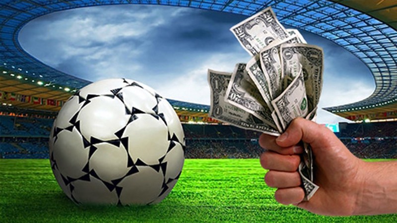 Découvrez Betwinner  La plateforme idéale pour vos paris sportifs